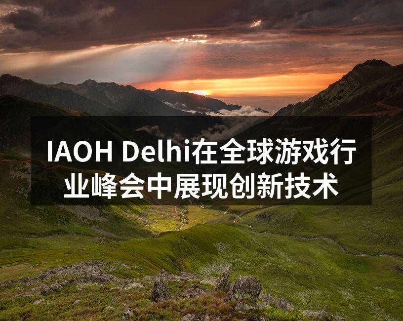 IAOH Delhi在全球游戏行业峰会中