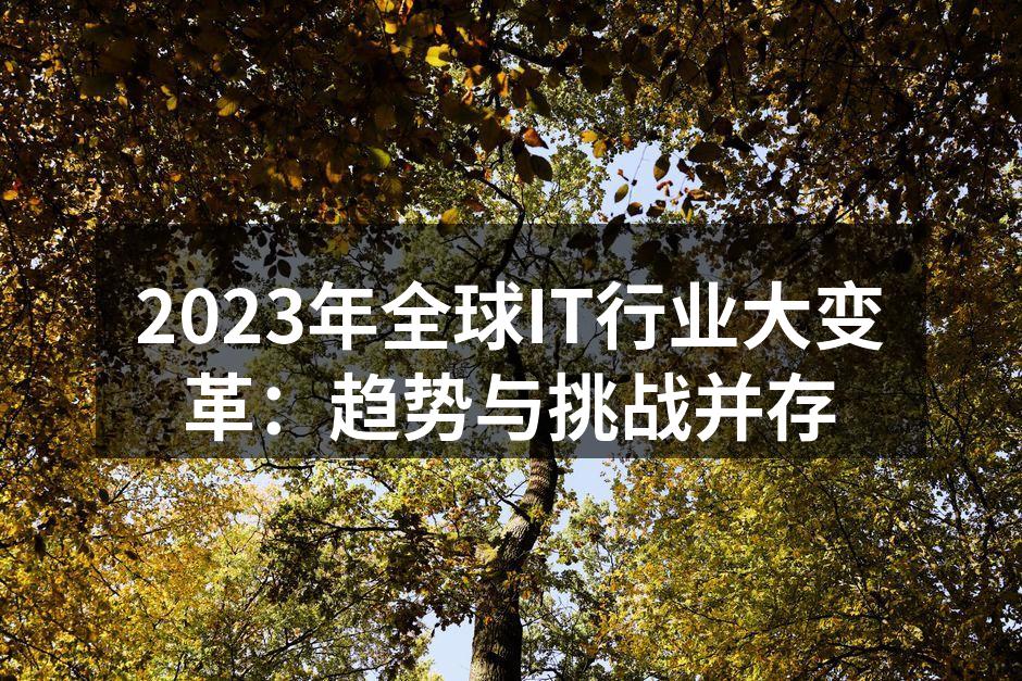 2023年全球IT行业大变革:趋势与挑战