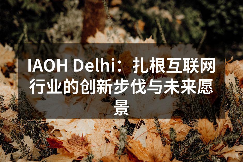 IAOH Delhi:扎根互联网行业的创新步伐与未来愿景